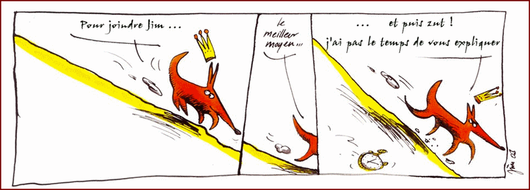 Les aventures de Rogovine illustres par Jim Bouchet