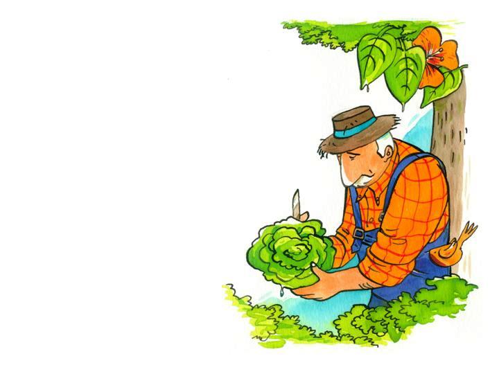 Conte - Un matin d't au potager - illustr par Jim Bouchet