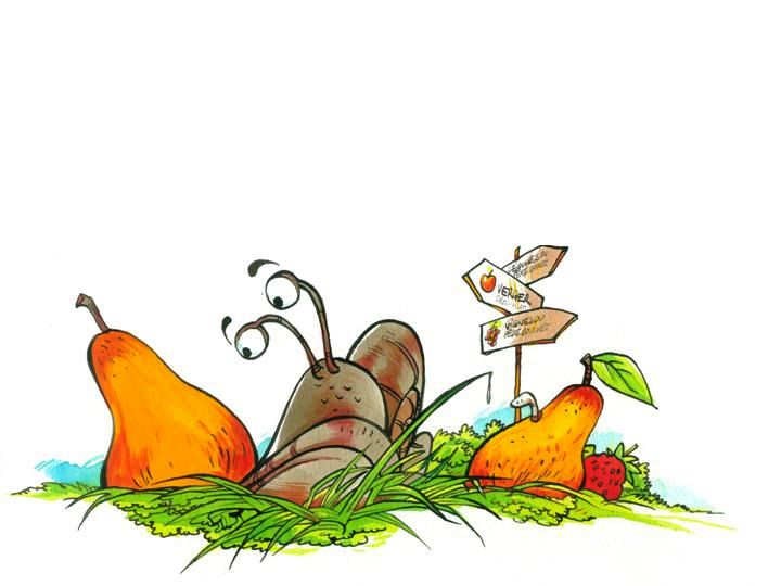 Conte - Un matin d't au potager - illustr par Jim Bouchet