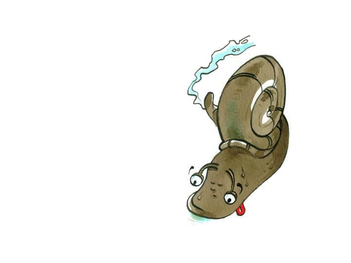 Conte - Un matin d't au potager - illustr par Jim Bouchet