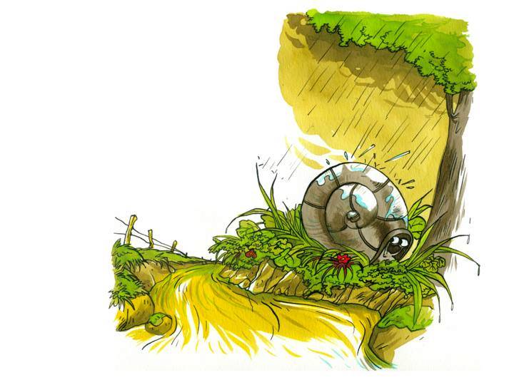 Conte - Un matin d't au potager - illustr par Jim Bouchet