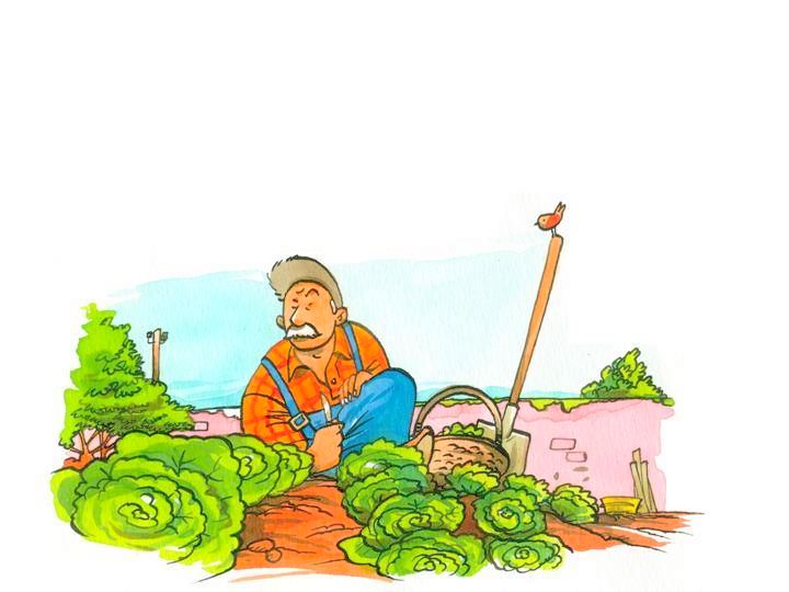 Conte - Un matin d't au potager - illustr par Jim Bouchet