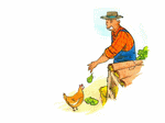 Illustration du conte - Un matin d't au potager - page 17