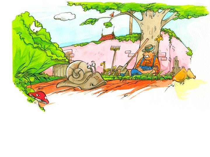 Conte - Un matin d't au potager - illustr par Jim Bouchet