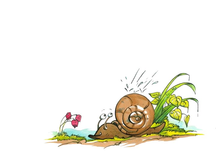 Conte - Un matin d't au potager - illustr par Jim Bouchet