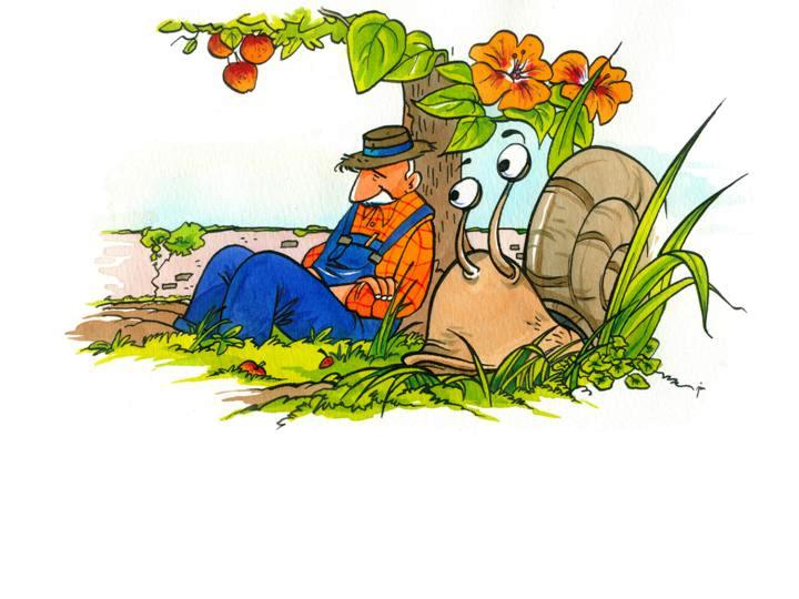 Conte - Un matin d't au potager - illustr par Jim Bouchet
