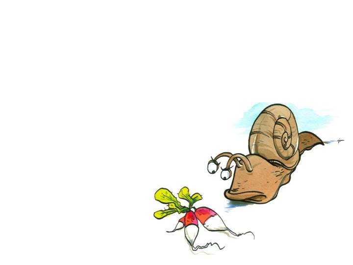 Conte - Un matin d't au potager - illustr par Jim Bouchet