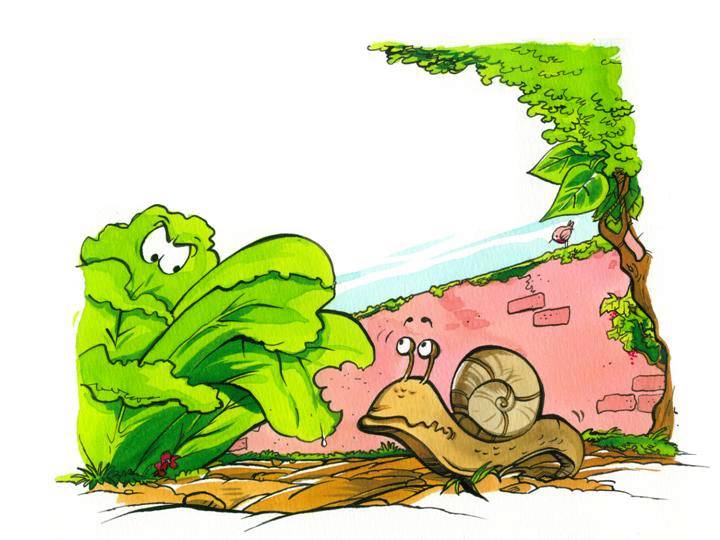 Conte - Un matin d't au potager - illustr par Jim Bouchet