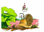 illustration du conte un matin d't au potager  - page 8