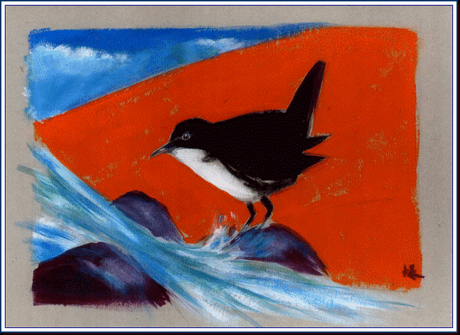Jim Bouchet : peinture acylique - cincle plongeur